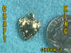 CHARM-J.jpg (22828 bytes)