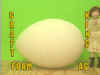 FOAM-AG.jpg (63472 bytes)