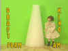 FOAM-AM.jpg (61784 bytes)