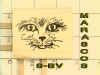 STAMP-BV.jpg (135481 bytes)
